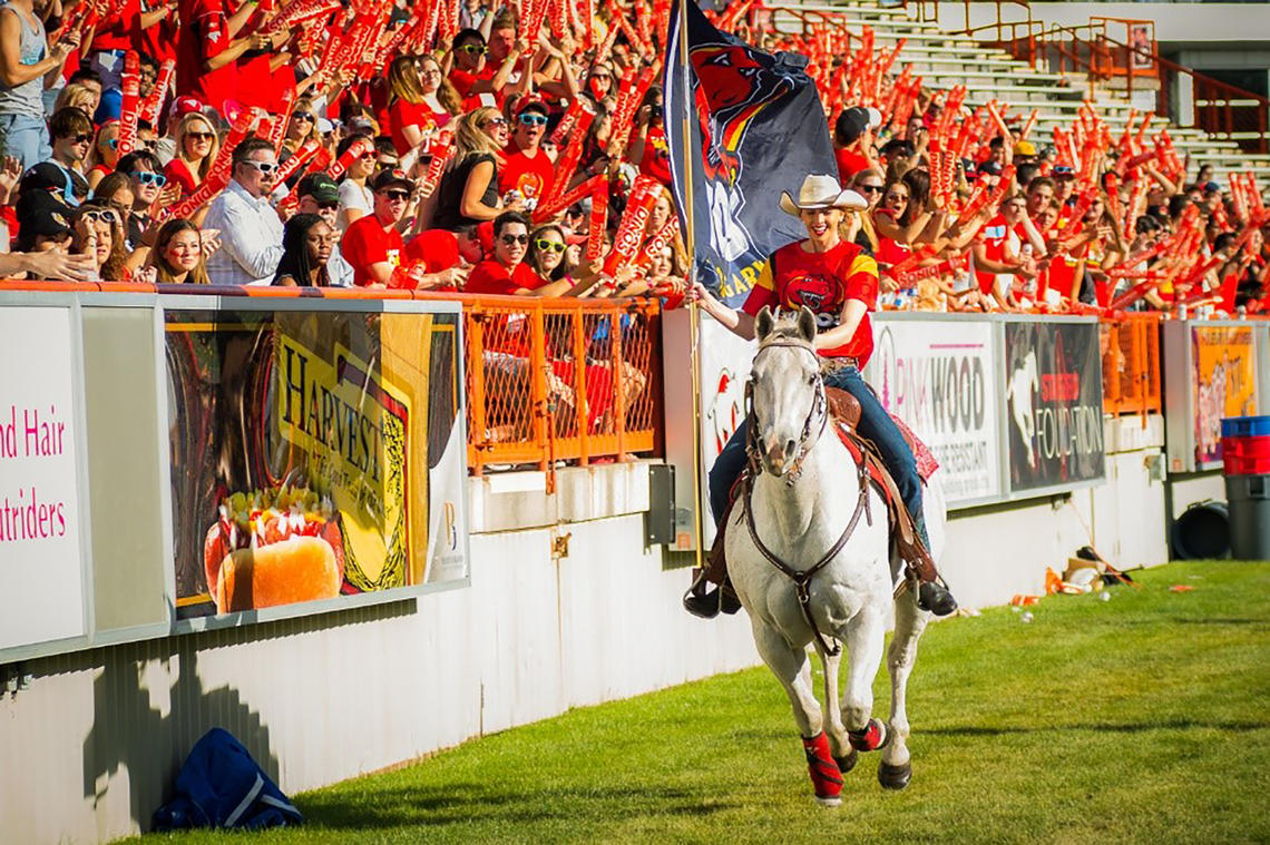 Dinos football game