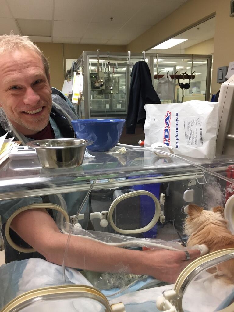 a man and dog in a veterinary care facility