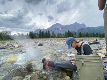 Christenson searching for tubifex worms on her sample tray at Evan Thomas Creek.