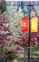 University of Calgary a global intellectual hub