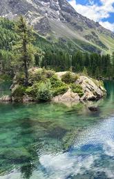 A peaceful lake nestled in the mountains, surrounded by pine trees