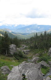 A beautiful mountain landscape in Crowsnest Pass, Alberta