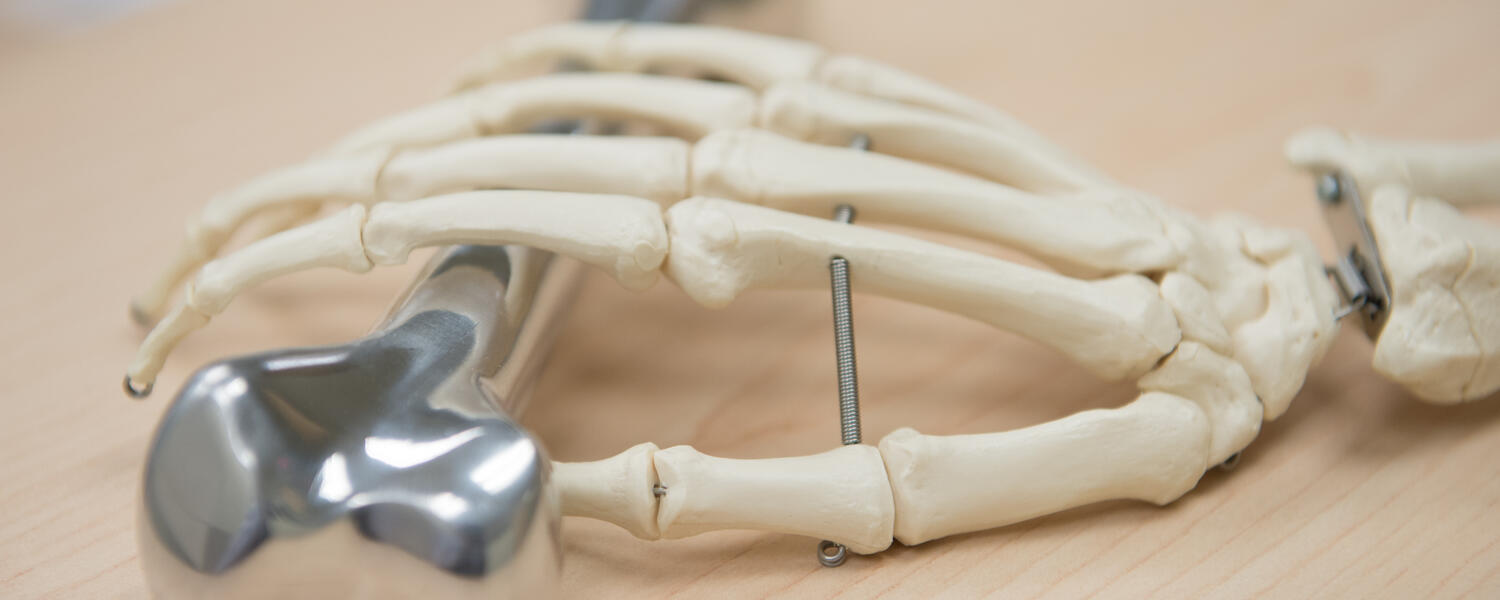 Bone Imaging Laboratory