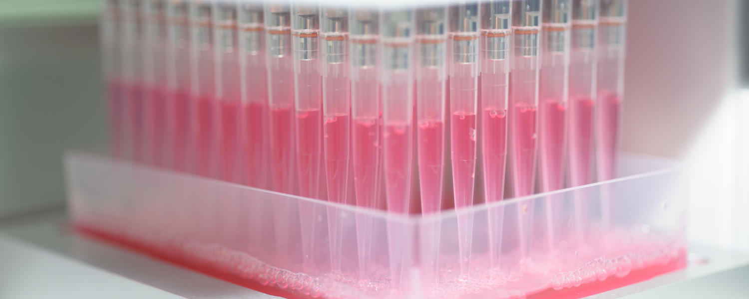 samples for biomarker analysis