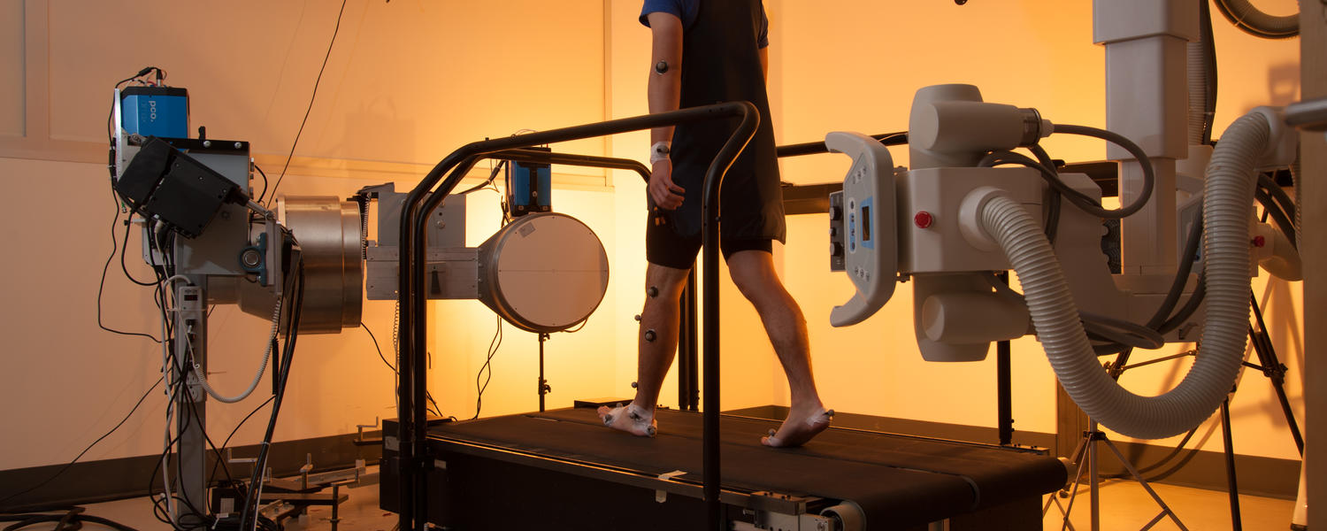 Movement analysis lab