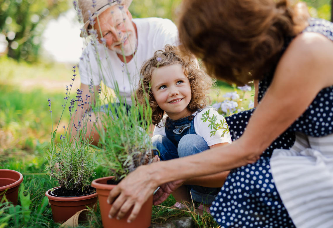 Gardening garden