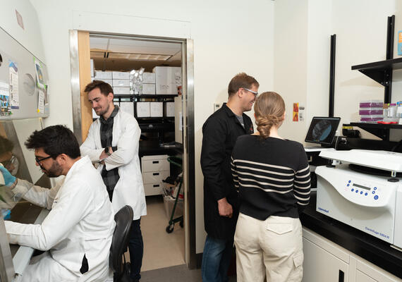 Dufour lab