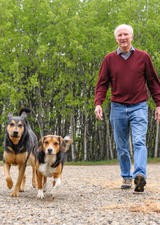 Nigel Shrive walking dogs